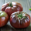 Tomate Noire Russe 25 graines
