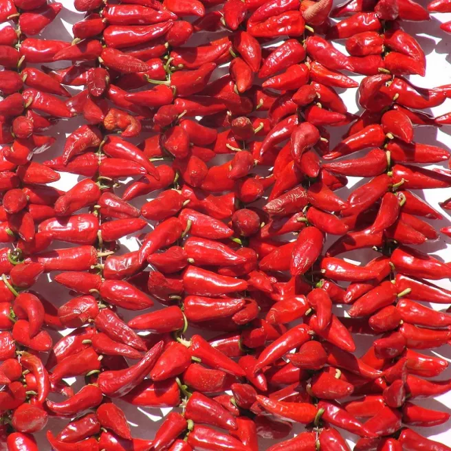 Piment d’Espelette Gorria 20 graines