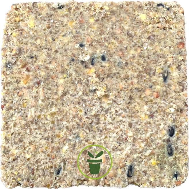 Bloc de graisse pour oiseaux avec mélange de graines