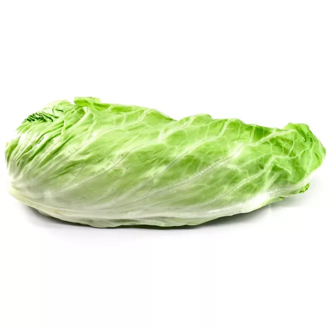 Chicorée sauvage Pain de Sucre 2 grammes