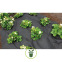 Toile anti mauvaises herbes intisée 1,5 x 5 m