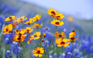 Votre jardin en avril : quels semis et entretien ?