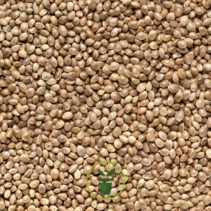 Un écureuil Assis Sur Une Plate-forme D'alimentation Pour Les Oiseaux Qui  Mangent Des Graines De Tournesol Au Printemps à Trevor W Image stock -  Image du ressort, érable: 274306995