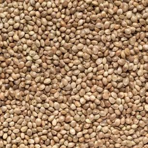 Graines de chanvre (pour oiseaux) 800 grammes