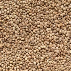 Graines de chanvre (pour oiseaux) 800 grammes