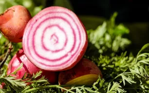 Votre jardin en mai : quels semis et plantations ?