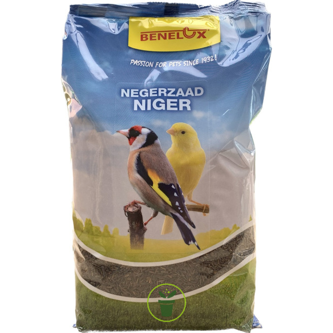 Graines de Niger 900 grammes