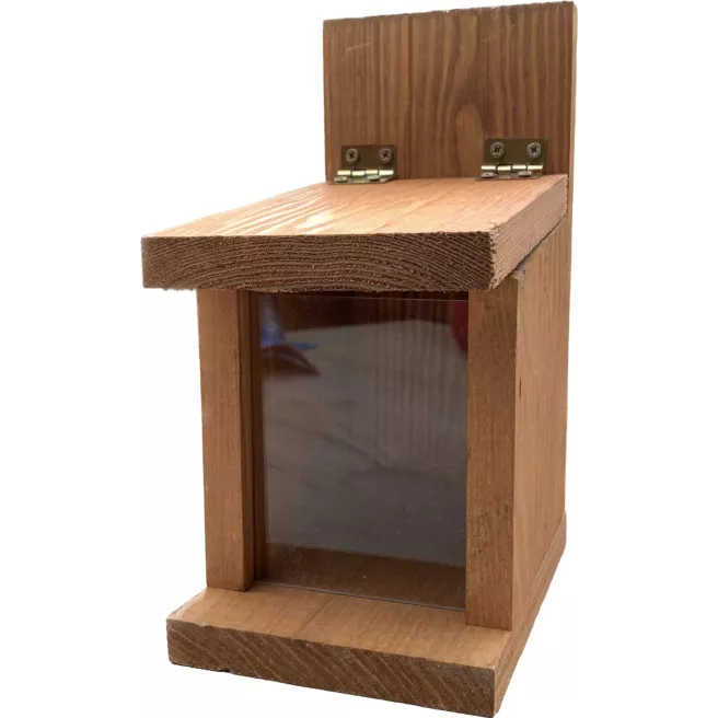 Mangeoire pour écureuils (petit modèle)