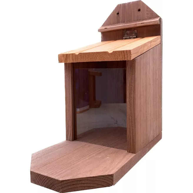 Mangeoire pour écureuils (grand modèle prémium)