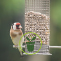 Quelles mangeoires pour oiseaux installer au jardin ?