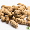 Arachides Entières pour Oiseaux et Écureuils - 1 kg