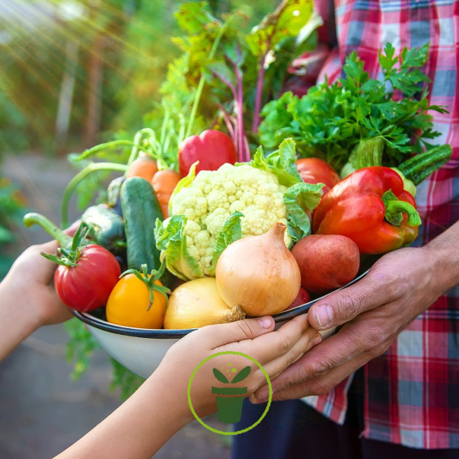 Mon jardin potager prêt à semer – Kit de 25 variétés