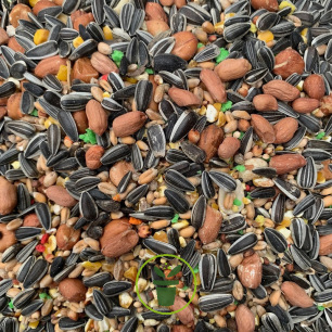 Graines décortiquées (pelées) mélange pour oiseaux du jardin 4 kg