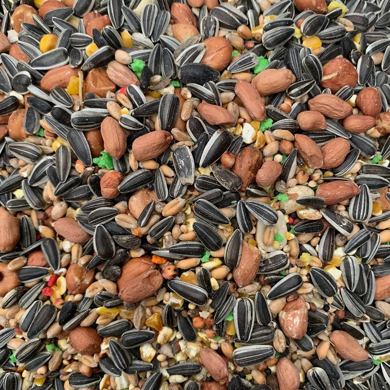 Les graines de tournesol pour les oiseaux de la nature en hiver