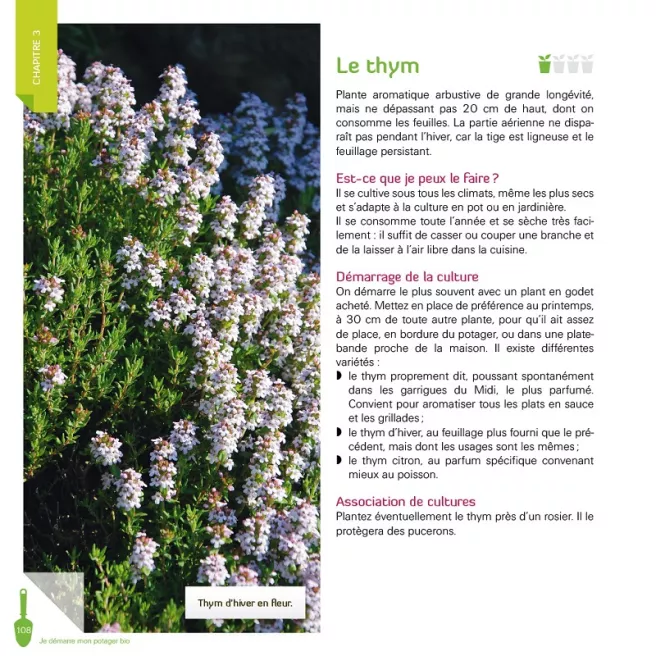 Je démarre mon potager bio