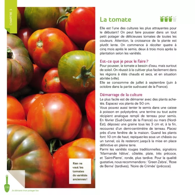 Je démarre mon potager bio