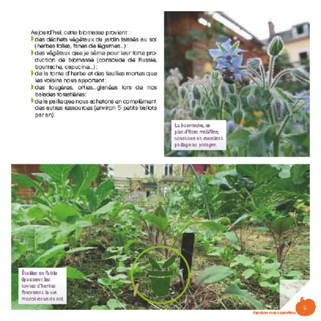 Mon petit jardin en permaculture Mon petit jardin en permaculture