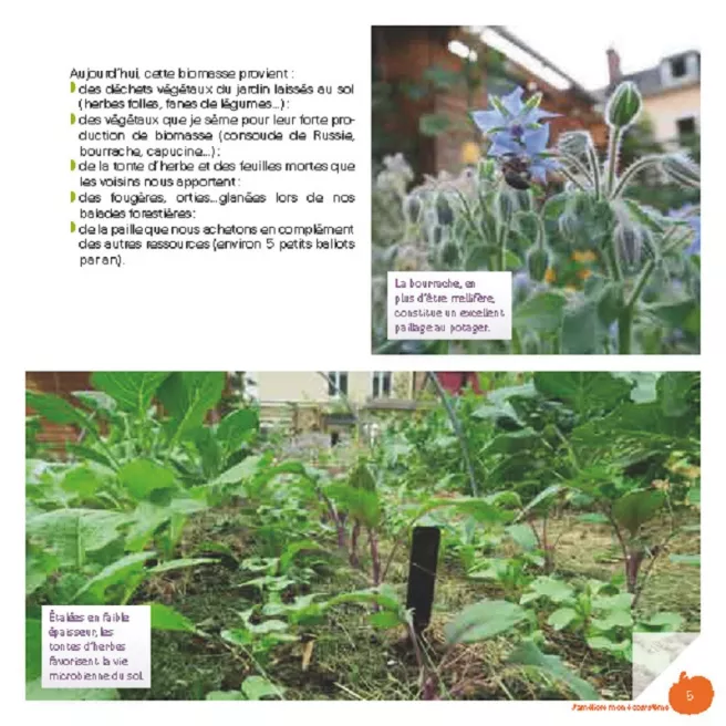 Mon petit jardin en permaculture
