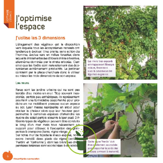 Mon petit jardin en permaculture Mon petit jardin en permaculture