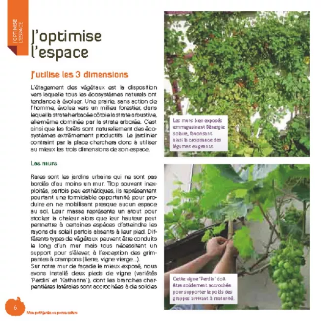 Mon petit jardin en permaculture