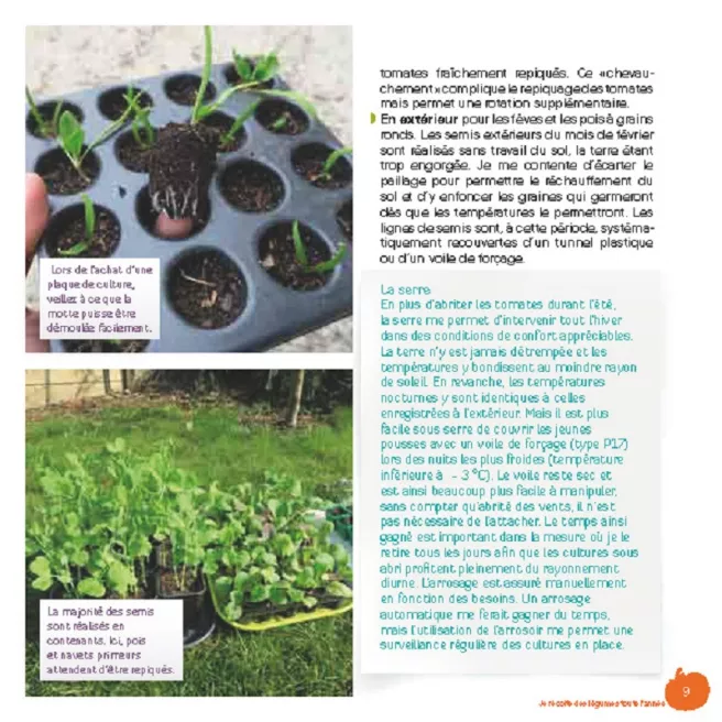 Mon petit jardin en permaculture