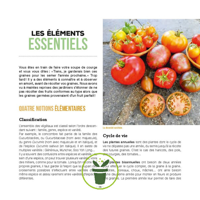 Faire ses graines c’est facile ! Faire ses graines c’est facile !