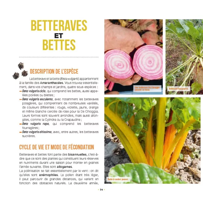 Faire ses graines c’est facile !