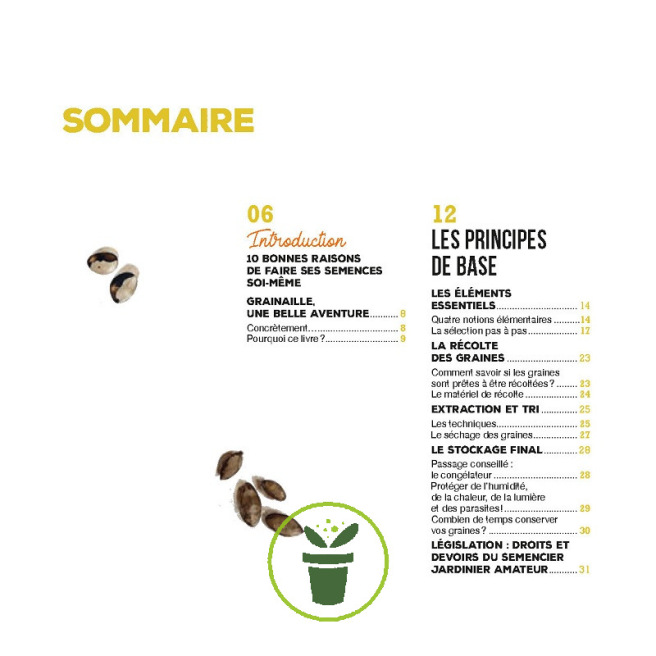 Faire ses graines c’est facile ! Faire ses graines c’est facile !