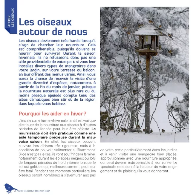 Je nourris les oiseaux en hiver