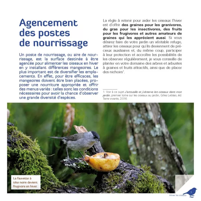 Je nourris les oiseaux en hiver