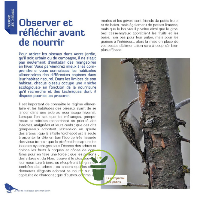 Je nourris les oiseaux en hiver