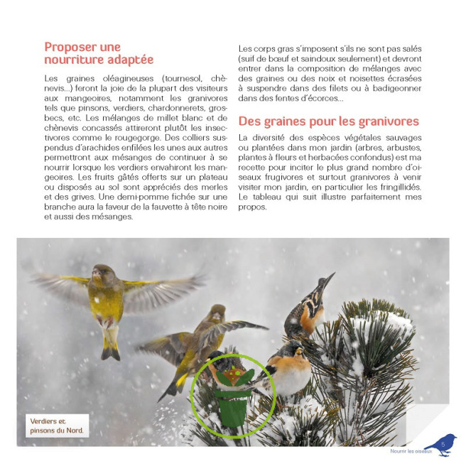 Je nourris les oiseaux en hiver