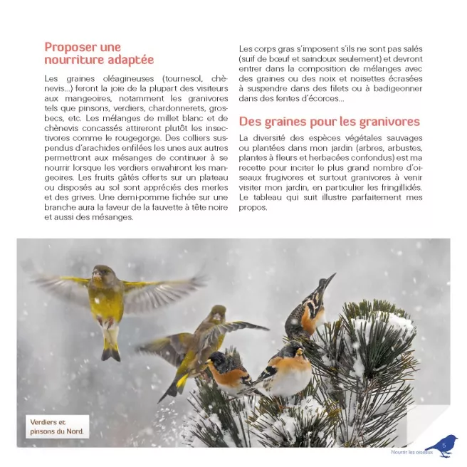 Je nourris les oiseaux en hiver