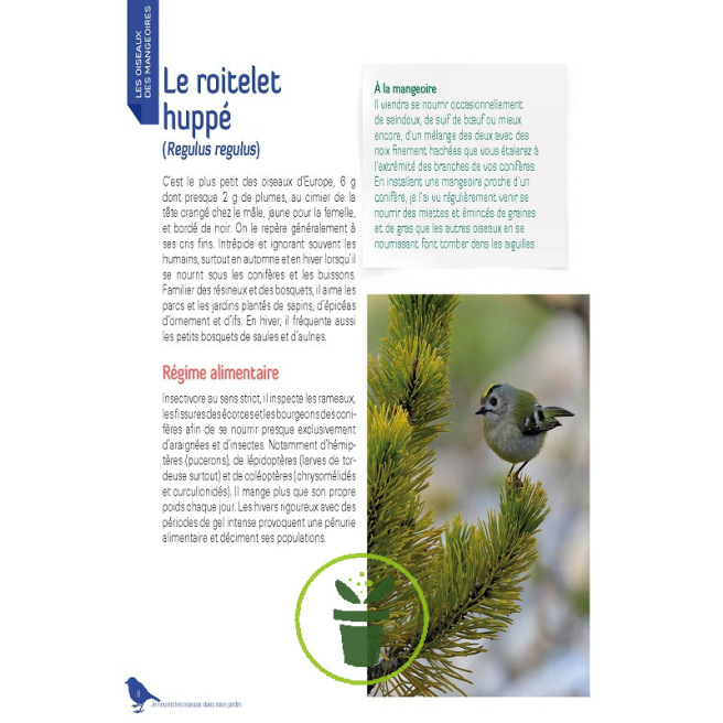 Je nourris les oiseaux en hiver