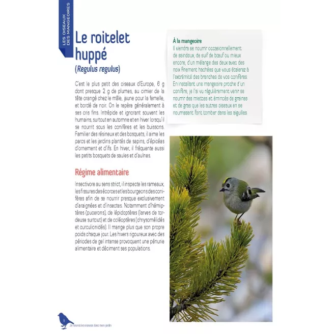 Je nourris les oiseaux en hiver