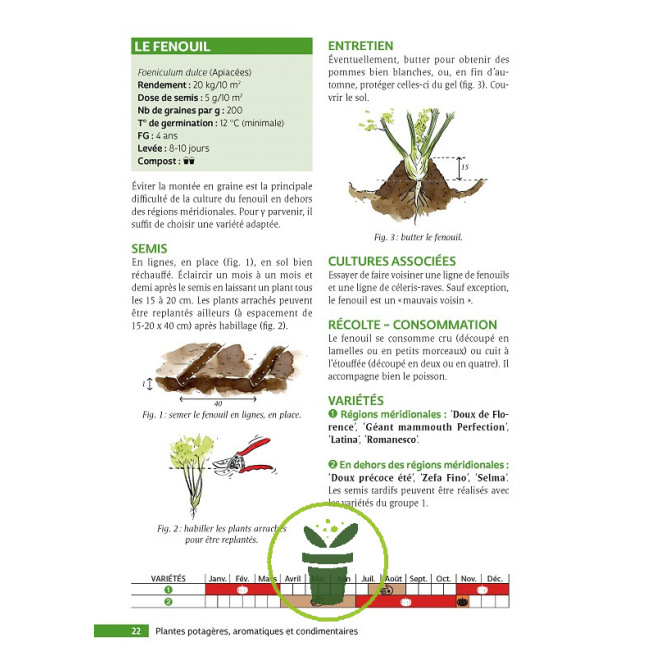 Le guide du jardin bio