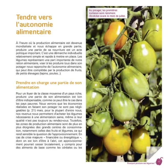 Produire tous ses légumes, toute l'année !