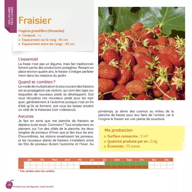 Produire tous ses légumes, toute l'année !