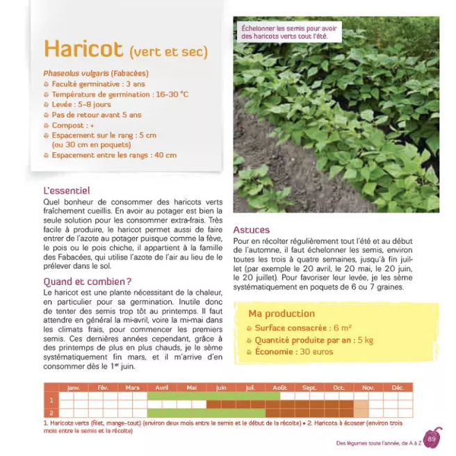 Produire tous ses légumes, toute l'année !