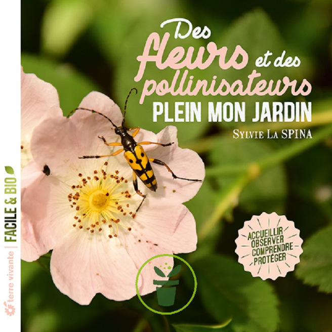 Des fleurs et des pollinisateurs plein mon jardin