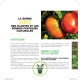 Stop aux maladies dans mon potager