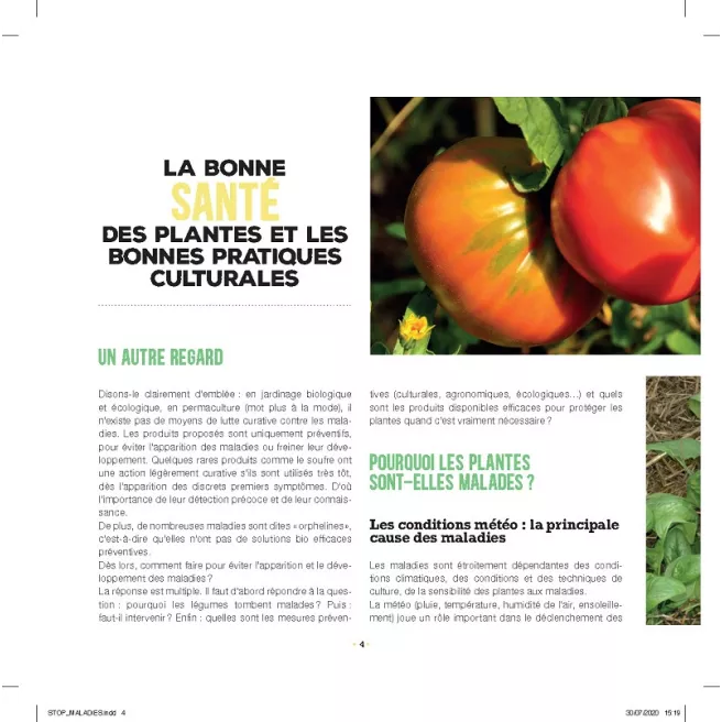 Stop aux maladies dans mon potager