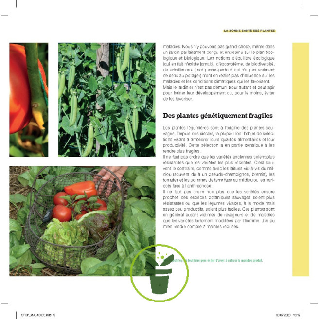 Stop aux maladies dans mon potager Stop aux maladies dans mon potager