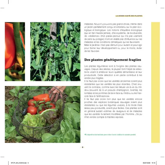 Stop aux maladies dans mon potager