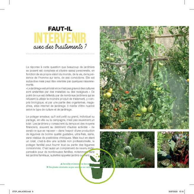 Stop aux maladies dans mon potager Stop aux maladies dans mon potager
