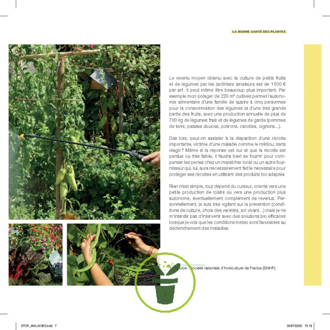 Stop aux maladies dans mon potager Stop aux maladies dans mon potager