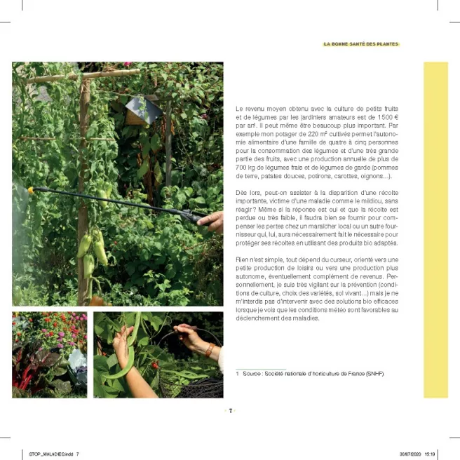 Stop aux maladies dans mon potager