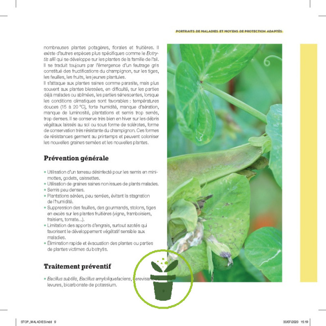 Stop aux maladies dans mon potager Stop aux maladies dans mon potager