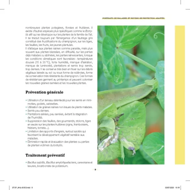 Stop aux maladies dans mon potager