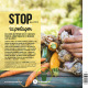 Stop aux maladies dans mon potager